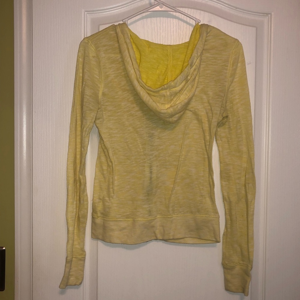 Yellow jacket - Picture 2 of 2